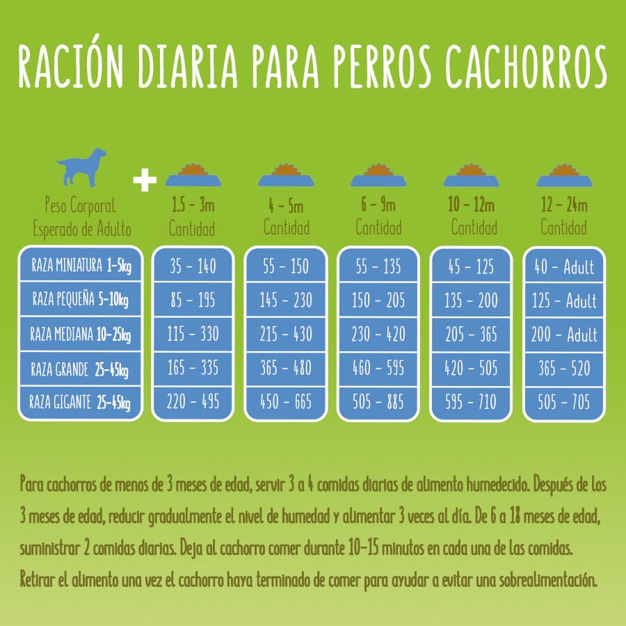 Friskies Junior frango e legumes ra&ccedil;&atilde;o cachorros, , large Imagem n&uacute;mero 6