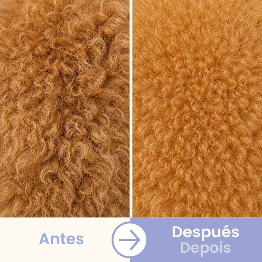 Bloob Pente de Dupla Fileira para c&atilde;es, , large Imagem n&uacute;mero 5