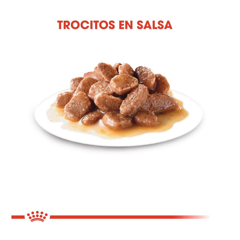 85 g Royal Canin Instinctive alimento húmido em molho saquetas para gatos,  Imagem número 4 85 g Royal Canin Instinctive alimento húmido em molho saquetas para gatos, , large Imagem número 4