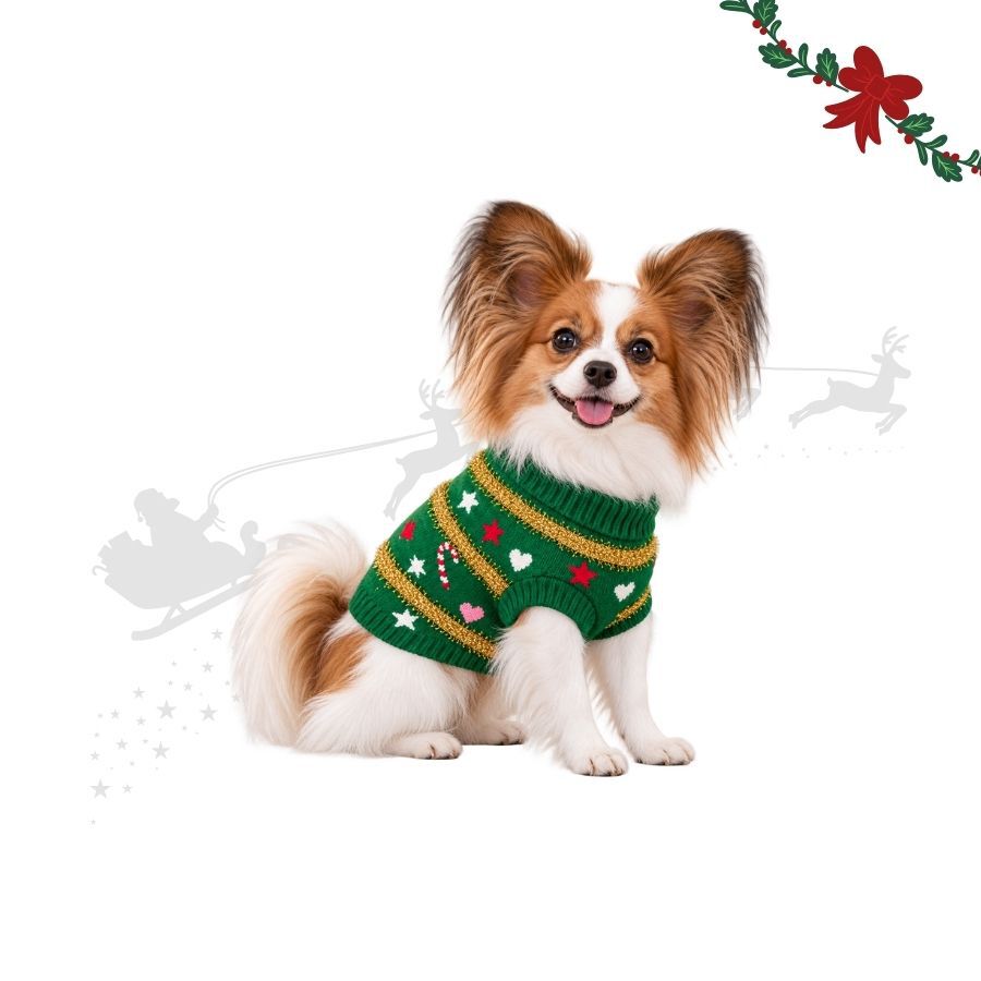 Wonder Christmas Camisola de Natal para c&atilde;es, , large Imagem n&uacute;mero 1