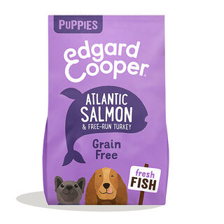 Edgard & Cooper ração de salmão e peru para cachorros