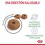 2 x 10 kg Royal Canin Adult Digestive ração para gatos Pack poupança!, , large Indicador imagem número 3