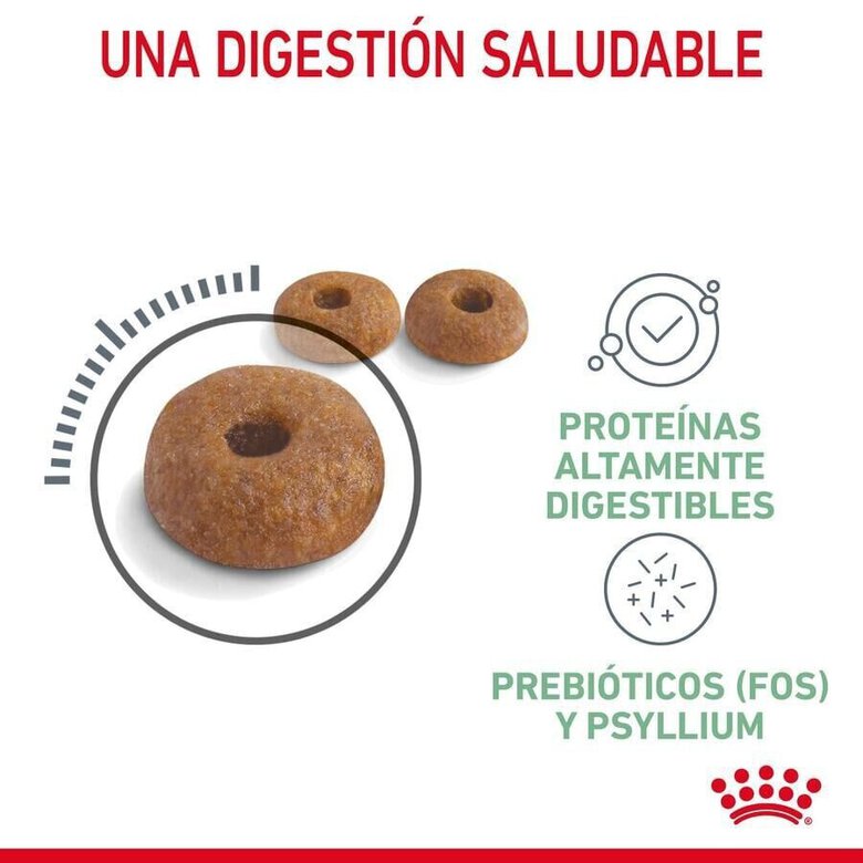 10 kg Royal Canin Adult Digestive ração para gatos,  Imagem número 3 10 kg Royal Canin Adult Digestive ração para gatos, , large Imagem número 3