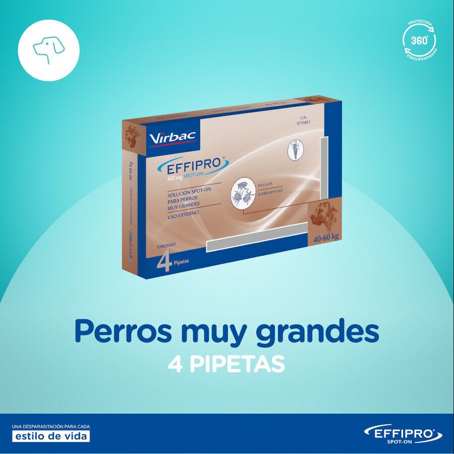 Effipro pipetas antiparasit&aacute;rias para c&atilde;es 40-60 kg, , large Imagem n&uacute;mero 2