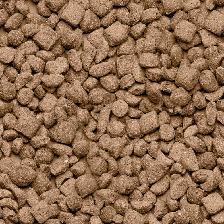 Beaphar Care+ Hamster ração para hamsteres,  Imagem número 2 Beaphar Care+ Hamster ração para hamsteres, , large Imagem número 2