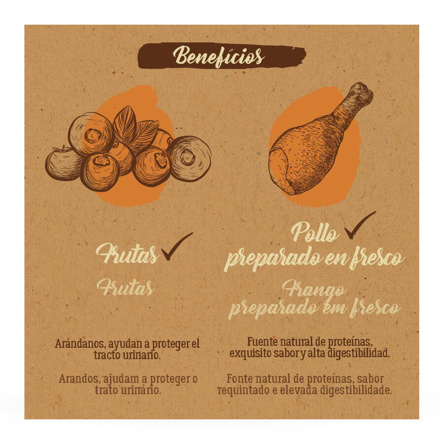 2 kg True Origins Pure Kitten Poultry Frango ra&ccedil;&atilde;o para gatos, , large Imagem n&uacute;mero 5