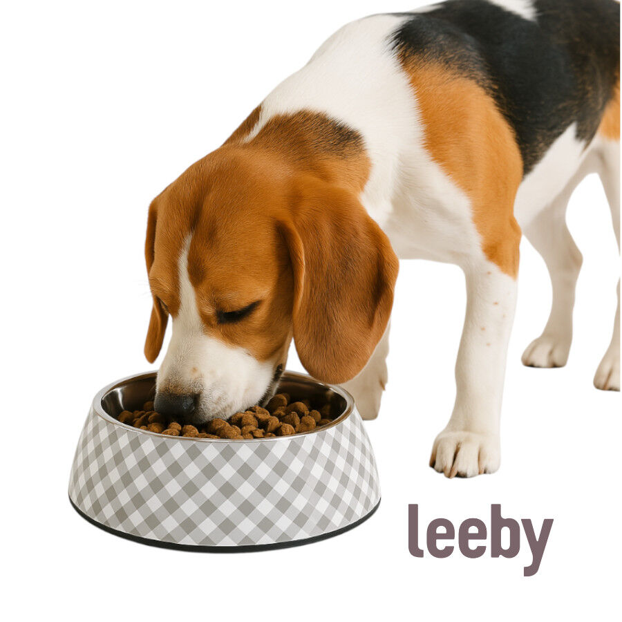 Leeby Comedouro cinza em inox para c&atilde;es, , large Imagem n&uacute;mero 2