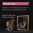 Pro Plan Skin & Coat + Óleo de Salmão Norueguês para gatos, , large image number null