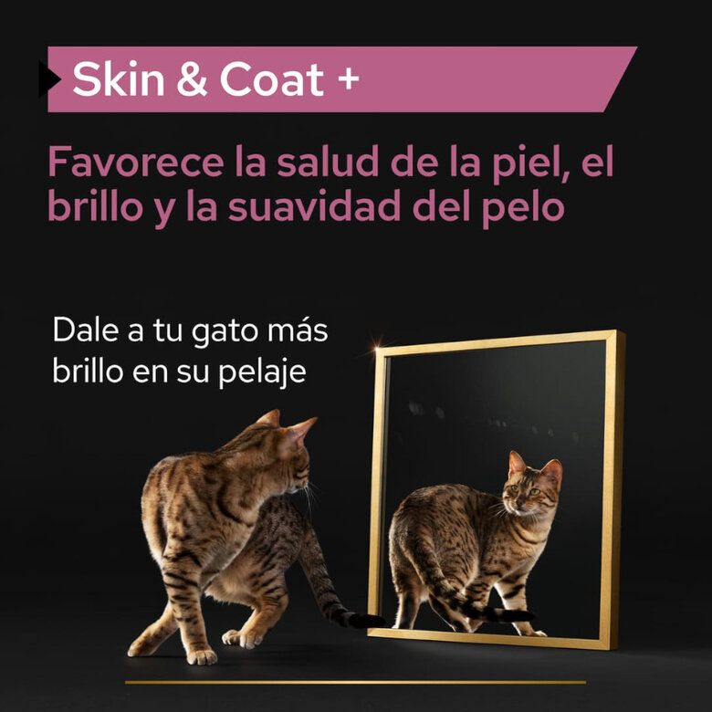 Pro Plan Skin & Coat + Óleo de Salmão Norueguês para gatos, , large image number null