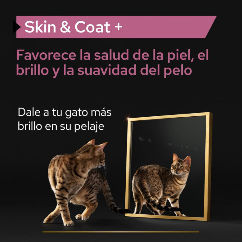150 ml Pro Plan Skin & Coat + Óleo de Salmão Norueguês para gatos,  Imagem número 2 150 ml Pro Plan Skin & Coat + Óleo de Salmão Norueguês para gatos, , large Imagem número 2