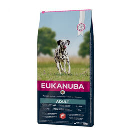 Eukanuba Adult Salmão ração para cães 
