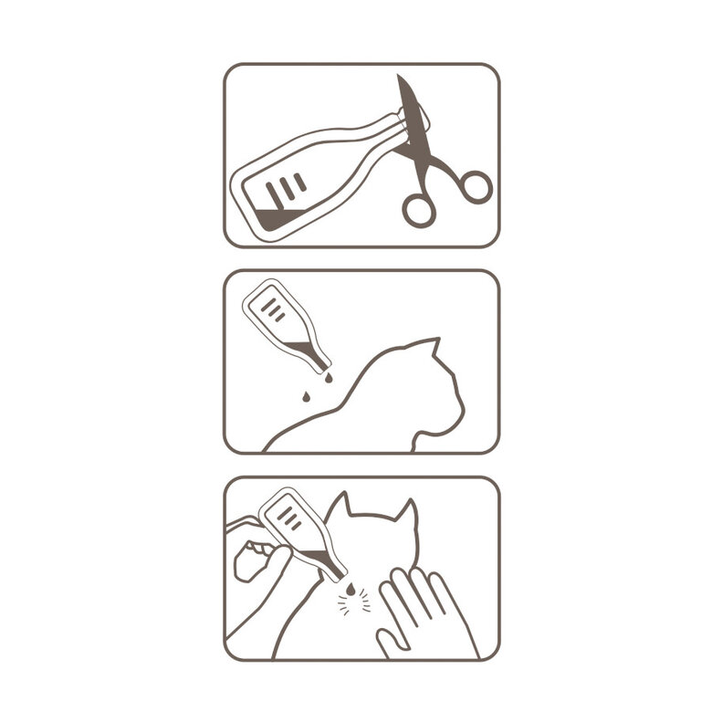 Beaphar Firprotec Pipetas antiparasitárias para gatos,  Imagem número 6 Beaphar Firprotec Pipetas antiparasitárias para gatos, , large Imagem número 6