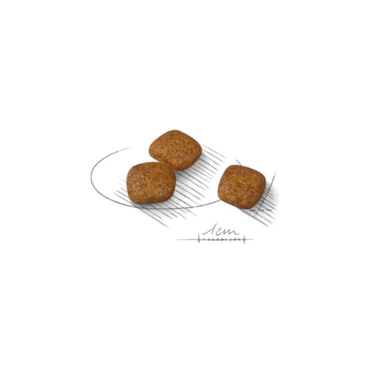 3 kg Royal Canin Mini Urinary Care ração para cães,  Imagem número 2 3 kg Royal Canin Mini Urinary Care ração para cães, , large Imagem número 2
