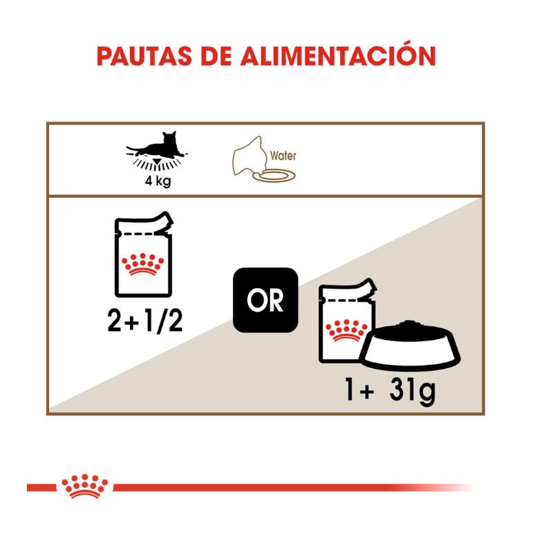 85 g Royal Canin Ageing 12+ alimento húmido com molho em saquetas para gatos,  Imagem número 8 85 g Royal Canin Ageing 12+ alimento húmido com molho em saquetas para gatos, , large Imagem número 8