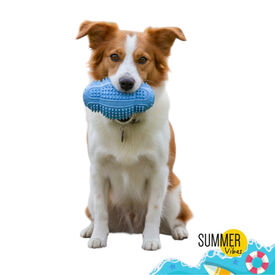 Summer Vibes TPR Chew Rugby Brinquedo para c&atilde;es