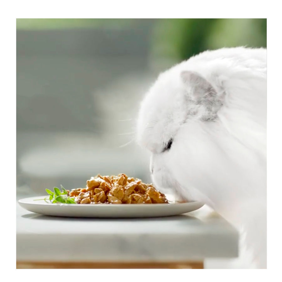 4 saquetas x 85 g Purina Gourmet Perle L&aacute;minas saquetas em molho para gatos &ndash; Pack 4, , large Imagem n&uacute;mero 3