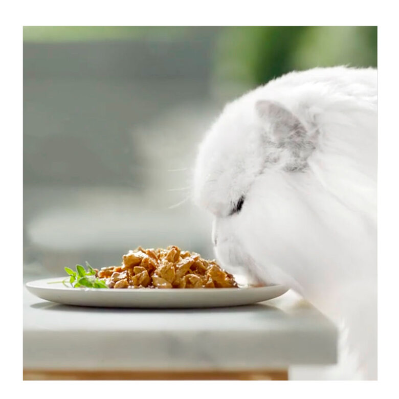 4 saquetas x 85 g Purina Gourmet Perle Láminas saquetas em molho para gatos – Pack 4,  Imagem número 3 4 saquetas x 85 g Purina Gourmet Perle Láminas saquetas em molho para gatos – Pack 4, , large Imagem número 3