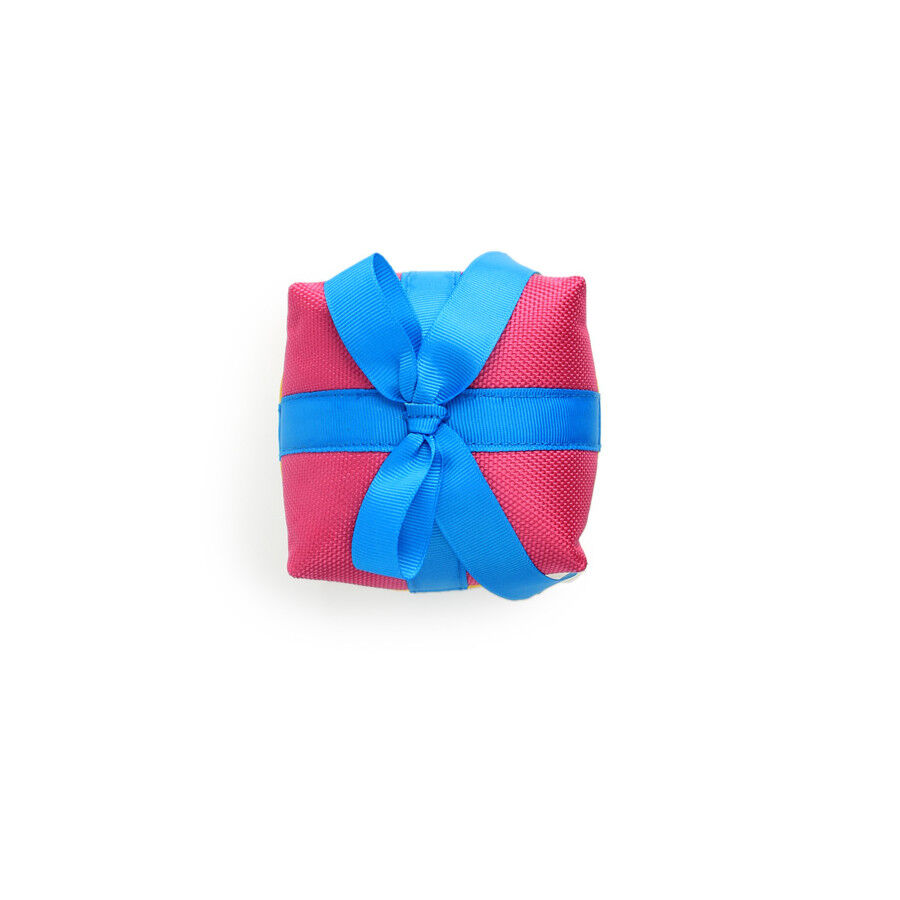 All For Paws Birthday Treasure Sortido brinquedo de peluche para c&atilde;es, , large Imagem n&uacute;mero 2