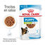 85 g Royal Canin X-Small Puppy Bocaditos em molho saqueta para cachorros, , large Indicador imagem número 1