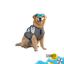 Colete salva-vidas Summer Vibes Shark para c&atilde;es, , large Indicador imagem n&uacute;mero 8