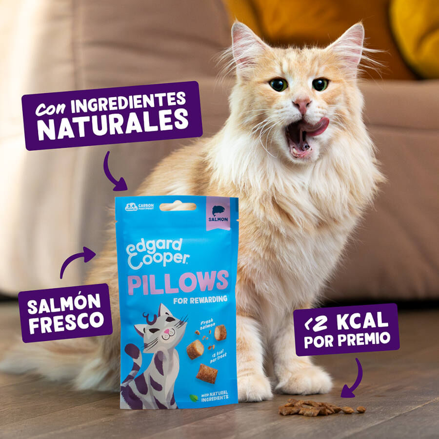 4 pacotes x 60 g Edgard & Cooper Pillows Snack de salm&atilde;o para gatos Pack Poupan&ccedil;a!, , large Imagem n&uacute;mero 2
