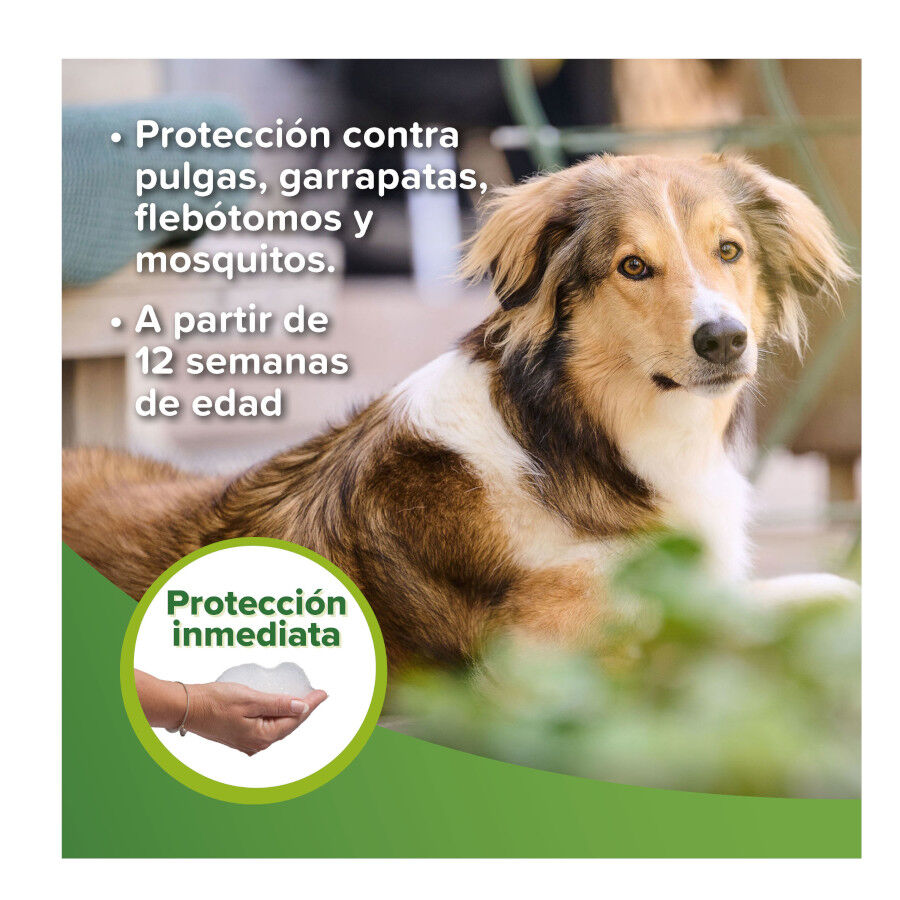 Beaphar Champ&ocirc; Repelente para c&atilde;es e gatos, , large Imagem n&uacute;mero 3