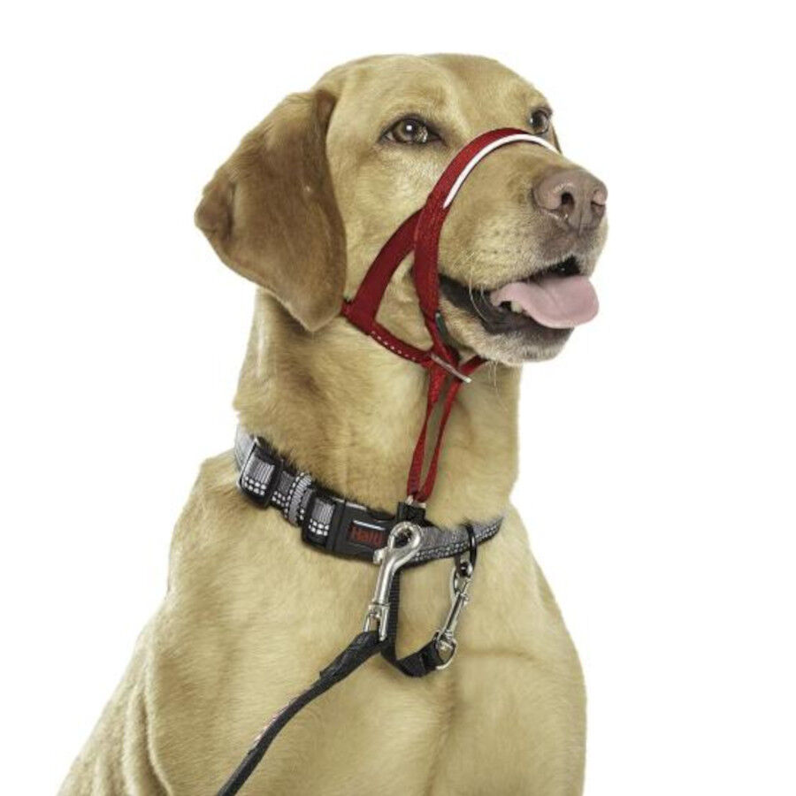 Halti Coleira anti-pux&atilde;o preta para c&atilde;es, , large Imagem n&uacute;mero 2