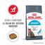 2 x 10 kg Royal Canin Urinary ração para gatos Pack poupança!, , large Indicador imagem número 4