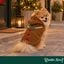 Wonder Christmas Camisola de Natal para c&atilde;es, , large Indicador imagem n&uacute;mero 2