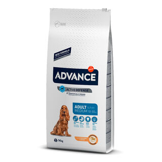 Affinity Advance Medium Adult Frango e Arroz para cães