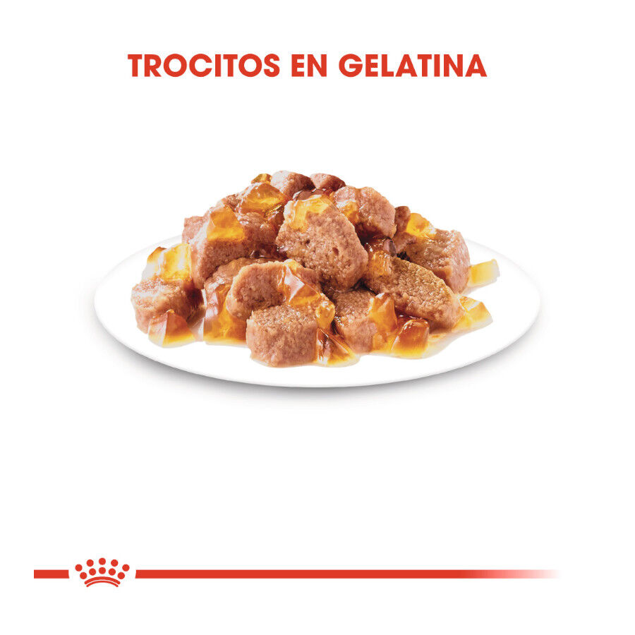 85 g Royal Canin Ultra Light geleia saqueta para gatos, , large Imagem n&uacute;mero 3