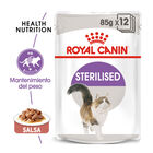 Royal Canin Feline Sterilised Saquetas com molho para gatos, , large image number null