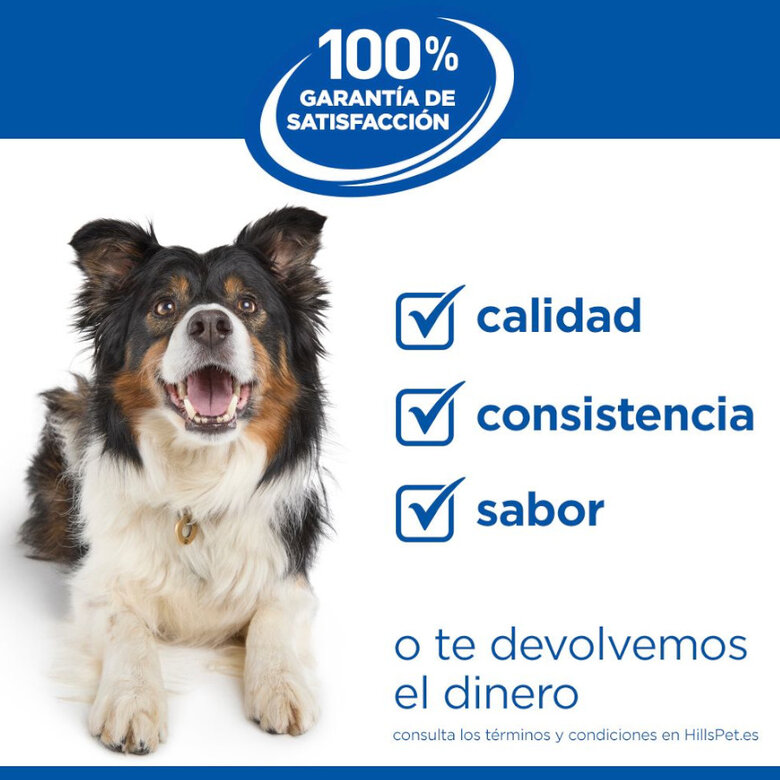 363 g Hill's Science Plan Hypoallergenic Alimento Húmido com Salmão para Cães Adultos,  Imagem número 5 363 g Hill's Science Plan Hypoallergenic Alimento Húmido com Salmão para Cães Adultos, , large Imagem número 5
