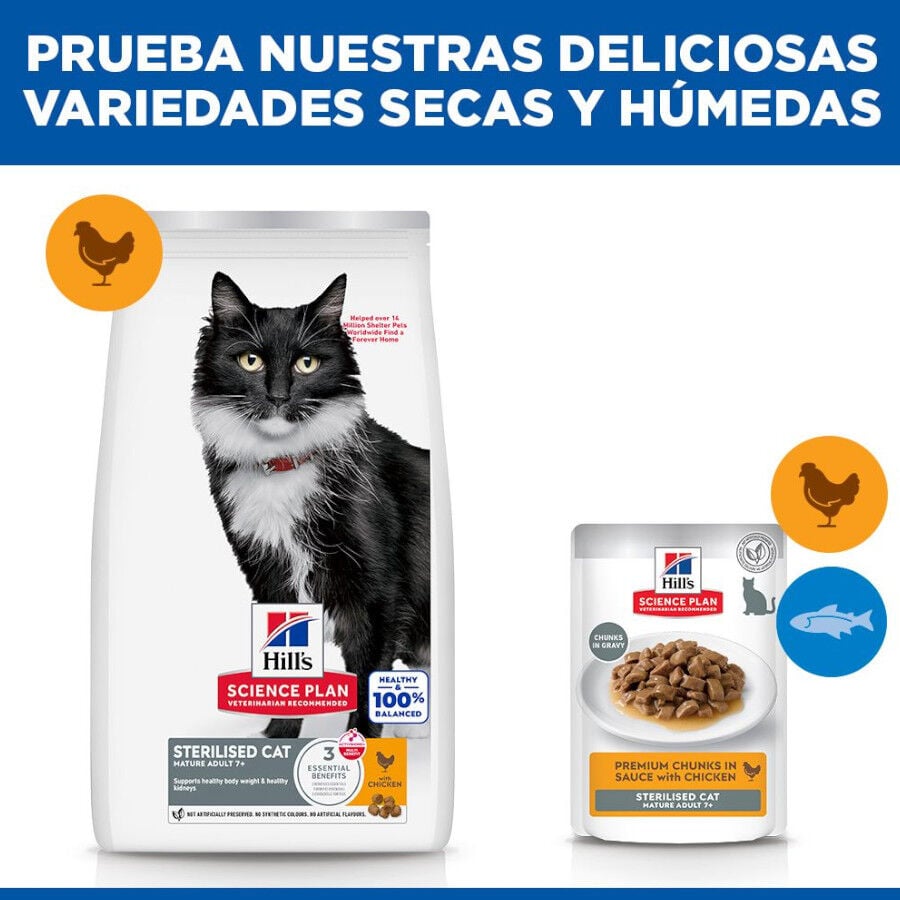 1.5 kg Hill's Mature Adult Science Plan Sterilised Frango ra&ccedil;&atilde;o para gatos, , large Imagem n&uacute;mero 8