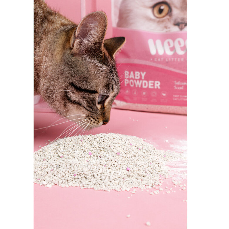 Weego Baby Powder Areia Aglomerante para gatos,  Imagem número 3 Weego Baby Powder Areia Aglomerante para gatos, , large Imagem número 3