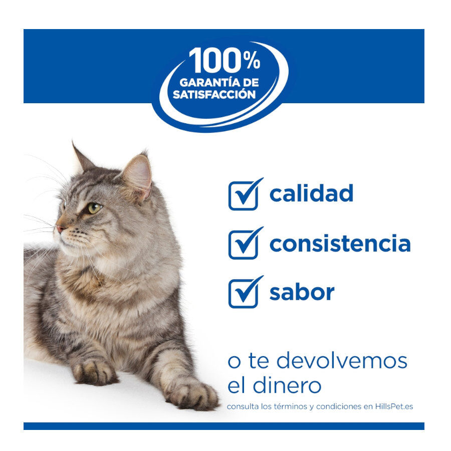 85 g Hill's Kitten Science Plan Peixe Azul saqueta em molho, , large Imagem n&uacute;mero 7