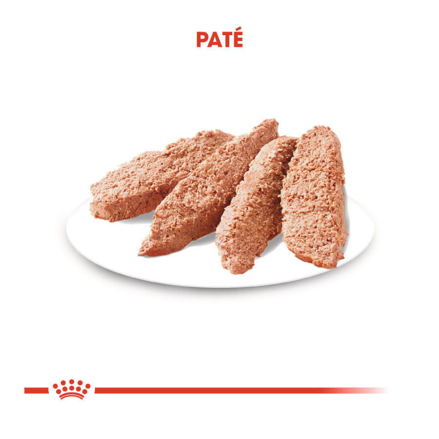 85 g Royal Canin Dermacomfort Saquetas Pat&ecirc; para c&atilde;es, , large Imagem n&uacute;mero 3