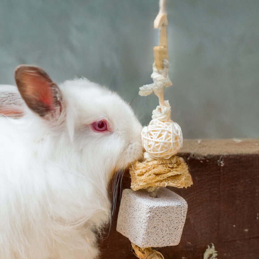 Quapas Handing Toy 1 Brinquedo para Roedores, , large Imagem n&uacute;mero 2