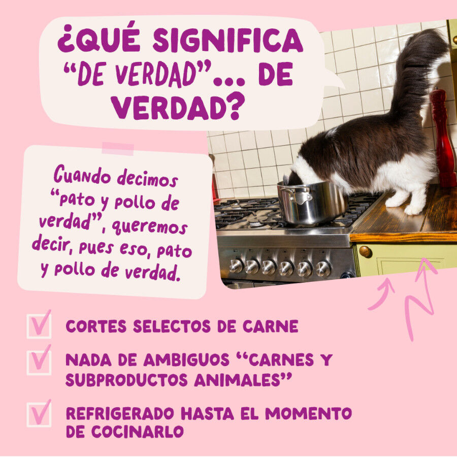 85 g Edgard & Cooper Kitten Comida h&uacute;mida de pato e frango em molho em saquetas para gatos, , large Imagem n&uacute;mero 5