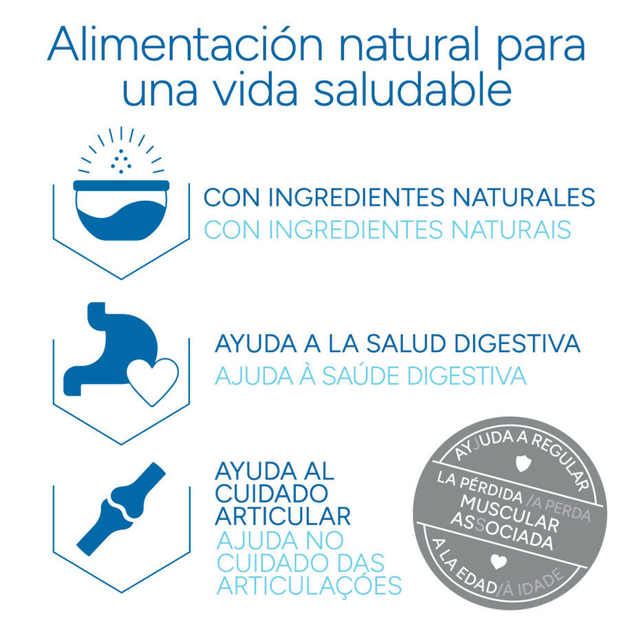 Criadores Cient&iacute;fico Mature +7 Ra&ccedil;&atilde;o de frango para gatos, , large Imagem n&uacute;mero 6