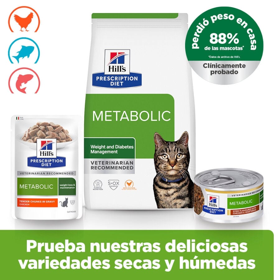 12 kg Hill's Prescription Diet Metabolic ra&ccedil;&atilde;o para gatos, , large Imagem n&uacute;mero 9
