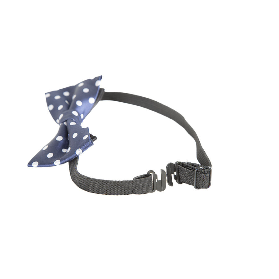 Wonder Christmas Comet La&ccedil;o Azul para c&atilde;es, , large Imagem n&uacute;mero 5