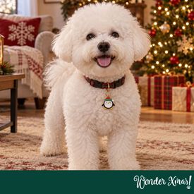 Wonder Christmas Pendente para coleira em forma de pinguim para c&atilde;es