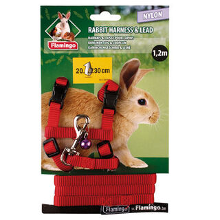 Flamingo Peitoral com Trela Vermelho para coelhos