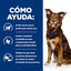 Hill's Prescription Diet Metabolic Lata de carne e vegetais para cães, , large Indicador imagem número 3