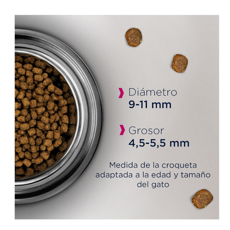 pienso_gatos_eukanuba_sterilised_weight_control_EUK81302275_M Imagem número 2 Eukanuba Sterilised Weight Control comida para gatos Imagem número 2