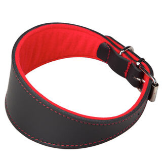Arppe Superfelt coleira para cães