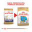 Royal Canin Puppy Chihuahua ração para cães , , large Indicador imagem número 3