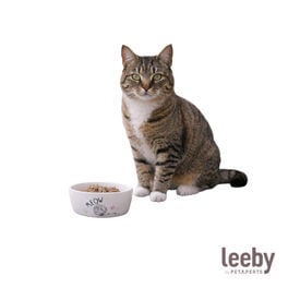 Leeby Comedouro de Cer&acirc;mica Branco para gatos