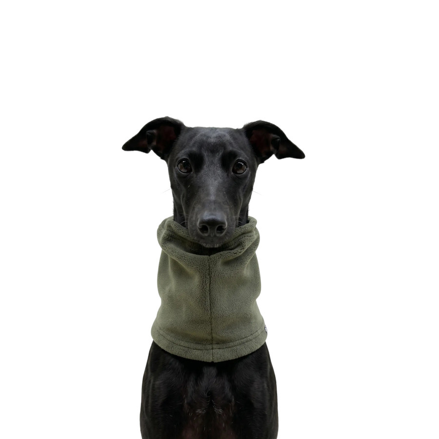 Gotoo Cachecol Polar Verde para c&atilde;es, , large Imagem n&uacute;mero 7